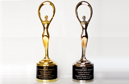 2013 Communicators Award